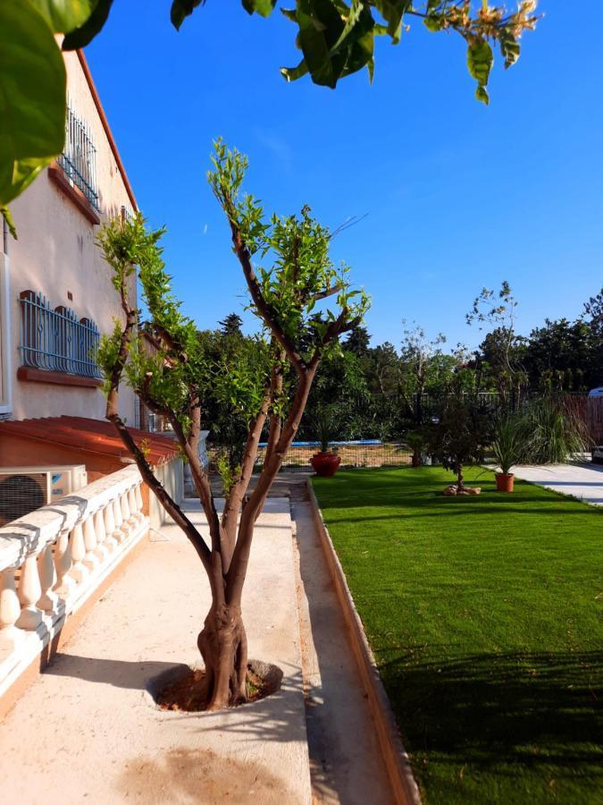 Domaine Des Pins Βίλα Saint-Estève Εξωτερικό φωτογραφία
