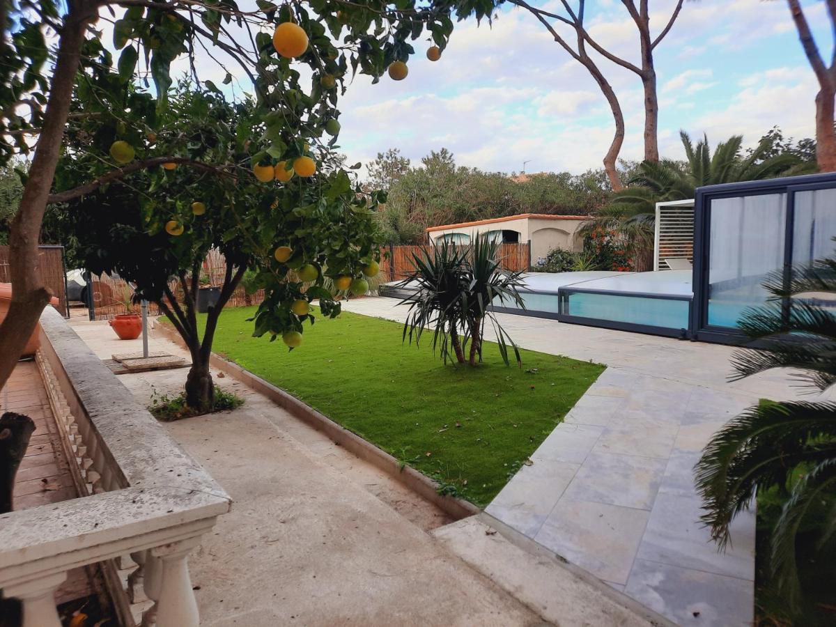 Domaine Des Pins Βίλα Saint-Estève Εξωτερικό φωτογραφία